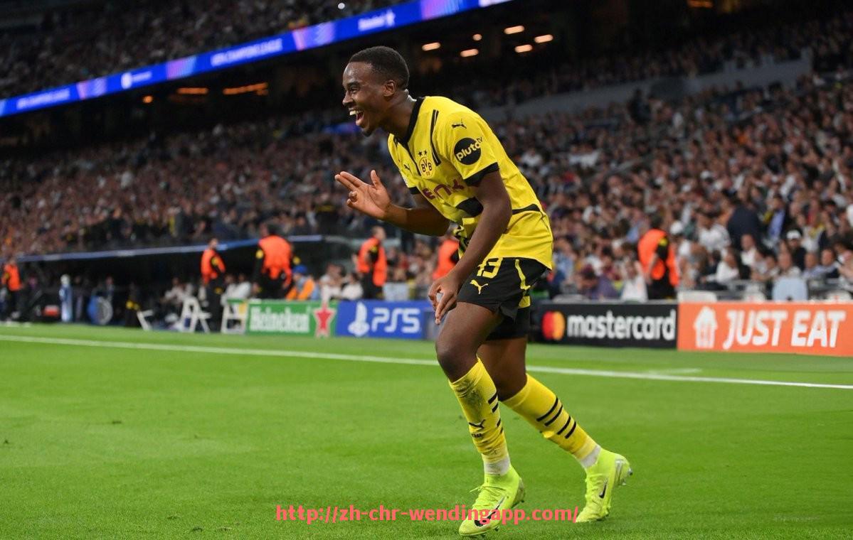 问鼎娱乐官网-法甲球队粉丝基础及球迷市场发展潜力研究