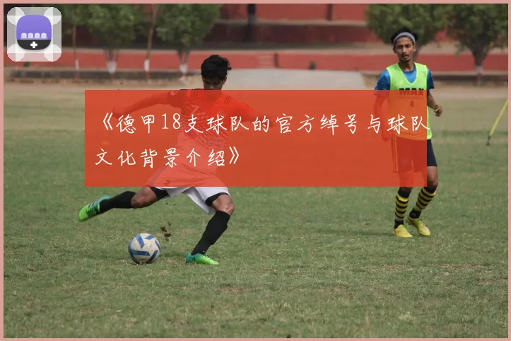 《德甲18支球队的官方绰号与球队文化背景介绍》
